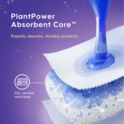 Aiwina Overnight Sanitary Panty L/XL