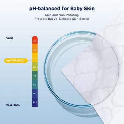 100% Biodegradable Toilet Wipes