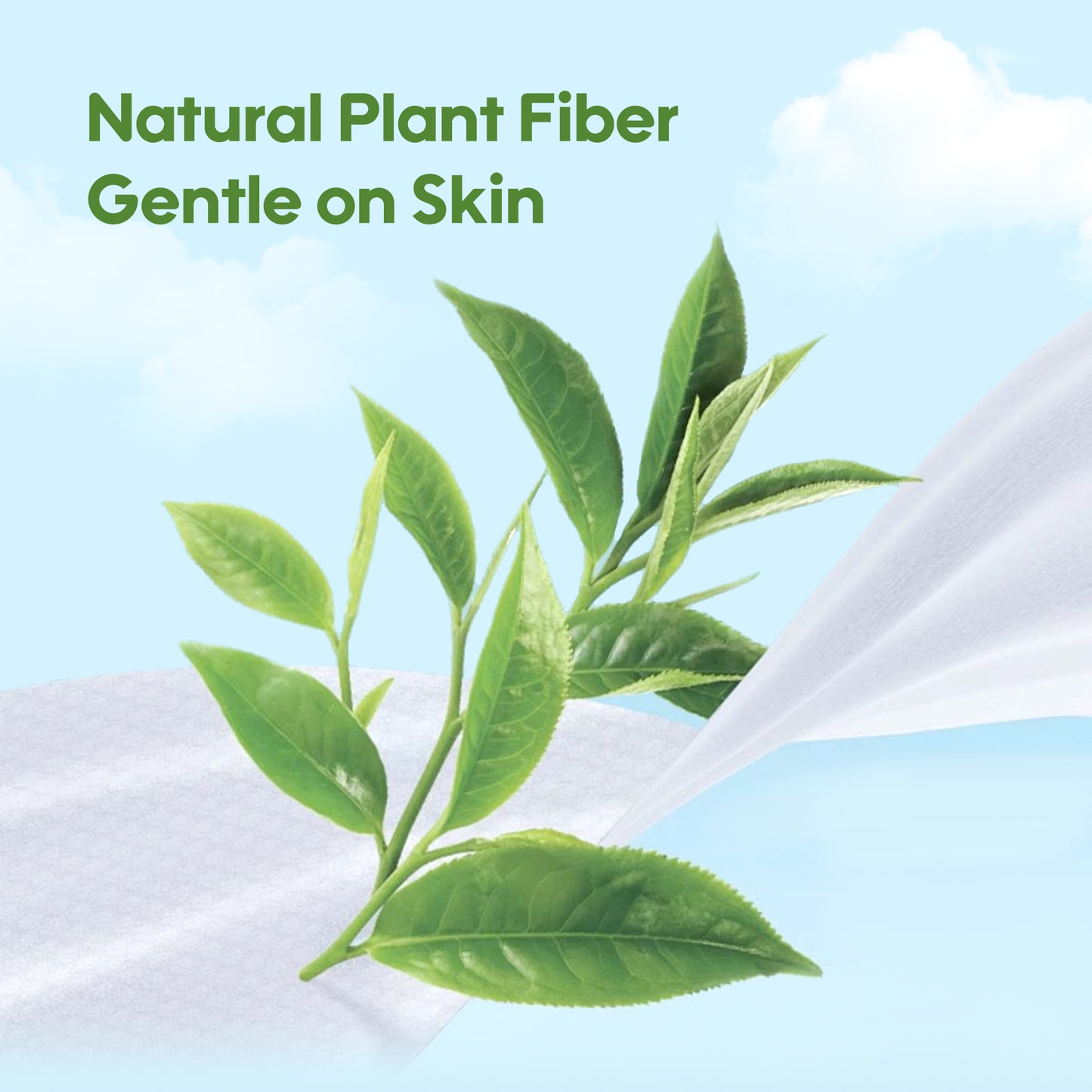 Fresh Organic Care Aloe Wipes