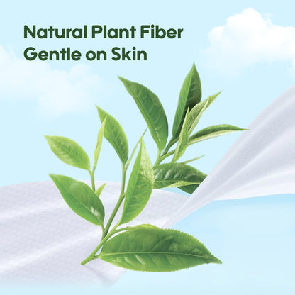 Fresh Organic Care Avocado Wipes